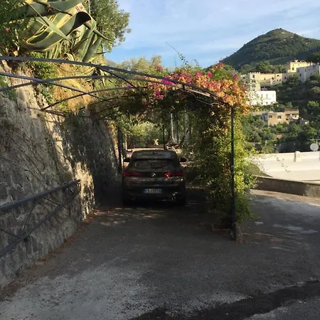 Flora Villa *