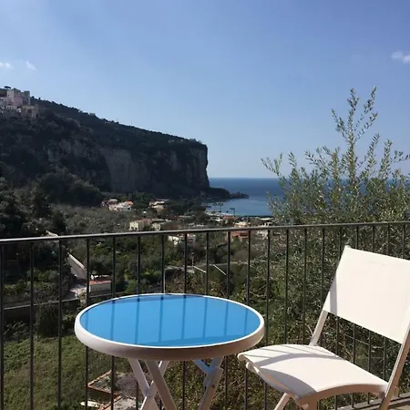 Villa Flora *