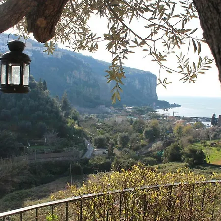 Villa Flora *