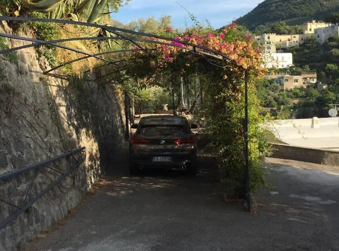 Flora Villa *